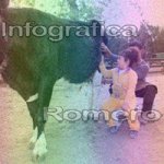 image img_1146-jpg