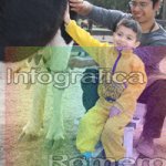 image img_1162-jpg