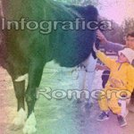 image img_1164-jpg