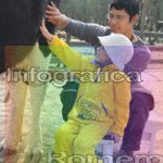 image img_1165-jpg