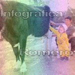 image img_1173-jpg