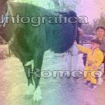 image img_1176-jpg