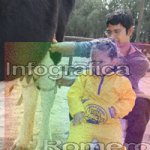 image img_1178-jpg