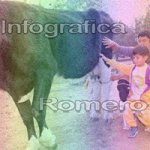 image img_1183-jpg