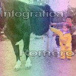 image img_1186-jpg