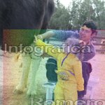 image img_1191-jpg