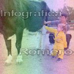 image img_1192-jpg