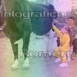 image img_1195-jpg