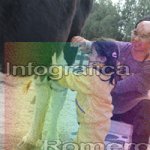image img_1197-jpg