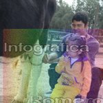 image img_1205-jpg