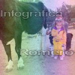 image img_1206-jpg