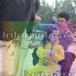 image img_1209-jpg