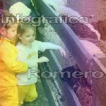 image img_1210-jpg