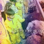 image img_1213-jpg