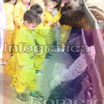 image img_1227-jpg