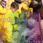 image img_1228-jpg