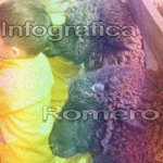 image img_1231-jpg