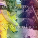 image img_1241-jpg