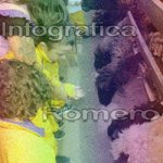 image img_1242-jpg