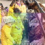 image img_1247-jpg