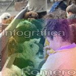 image img_6257-jpg
