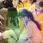image img_6266-jpg