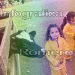 image img_1252-jpg
