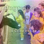 image img_1254-jpg