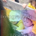 image img_1262-jpg