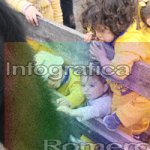 image img_1264-jpg