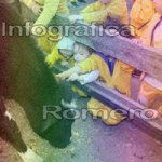image img_1267-jpg