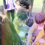 image img_1269-jpg