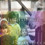 image img_6281-jpg