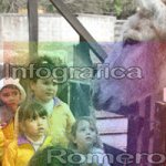 image img_6282-jpg