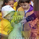 image img_1275-jpg
