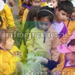image img_1283-jpg
