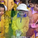 image img_1291-jpg