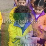 image img_1299-jpg