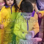 image img_1303-jpg