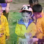 image img_1311-jpg