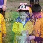 image img_1312-jpg