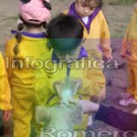 image img_1314-jpg