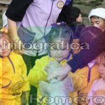 image img_6285-jpg