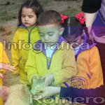 image img_6306-jpg