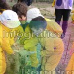 image img_1317-jpg