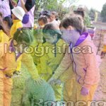 image img_1318-jpg