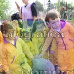 image img_1323-jpg