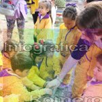 image img_1329-jpg