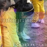 image img_6311-jpg